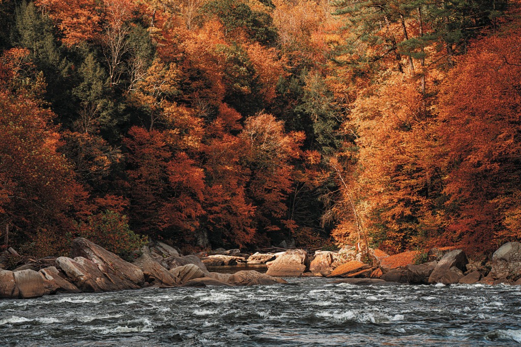 Fall colors in Pennsylvania are around the corner